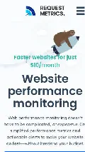 Frame #3 - requestmetrics.com