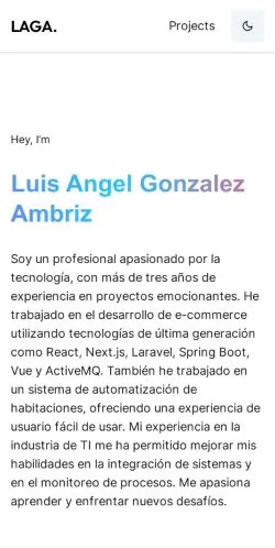 Frame #17 - portafolio-luis-angel-gonzalez.vercel.app