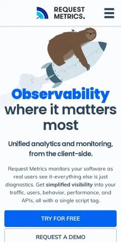 Frame #10 - www.requestmetrics.com
