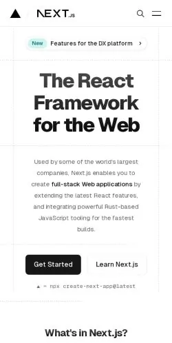 Frame #4 - nextjs.org