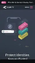 Frame #6 - Curity.io