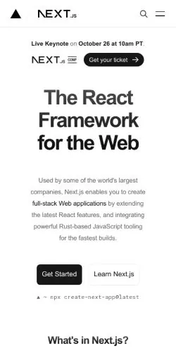 Frame #3 - nextjs.org